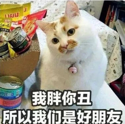 丑哭了表情包