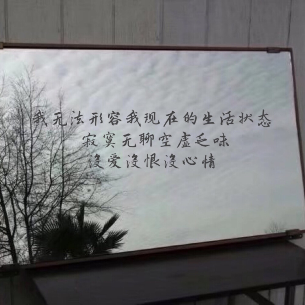 "我无法形容我现在的生活状态寂寞无聊空虚乏味没爱没恨没心情"