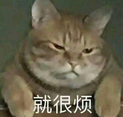 心情很烦