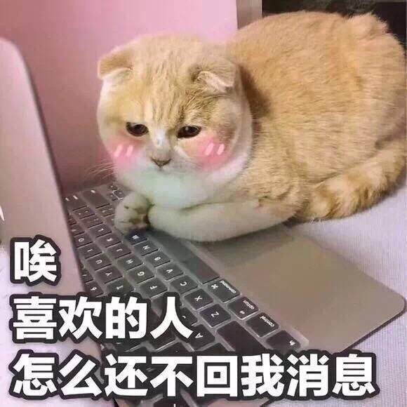 拿图点赞近期很火系列 社会人系列 假笑男孩系列 高糊表情包 gif系列