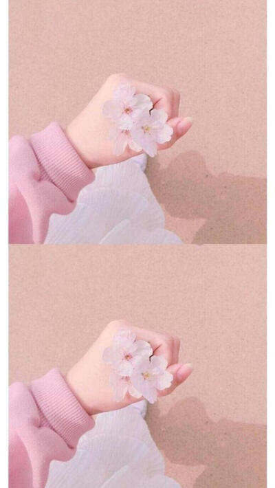 粉色花朵软萌简洁壁纸