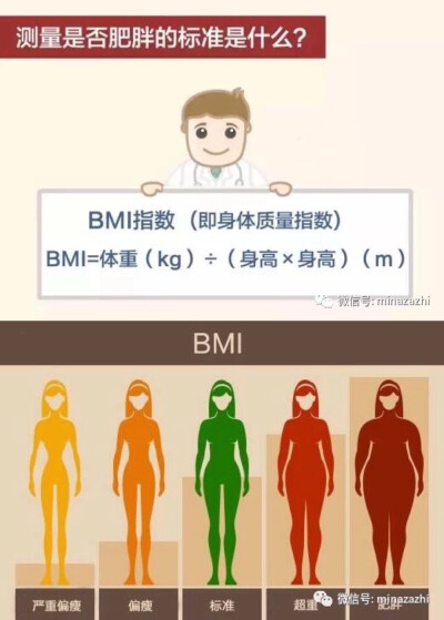 bmi指数