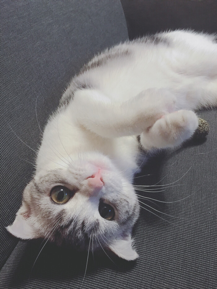 吃可爱长大的你