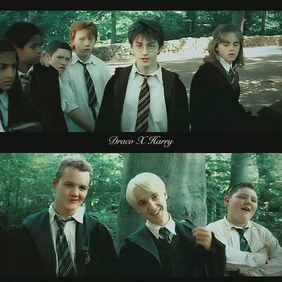 德哈drarry