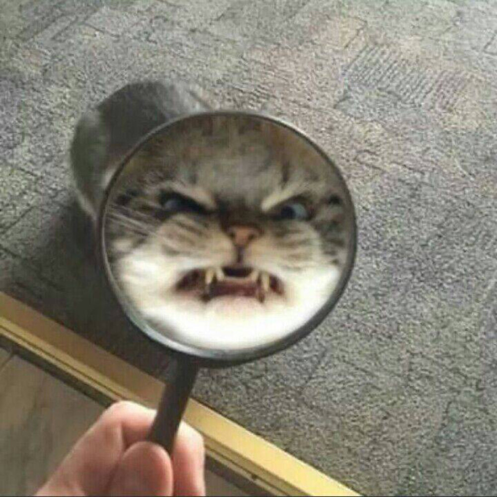 沙雕情头