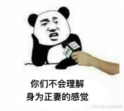 表情包练腿