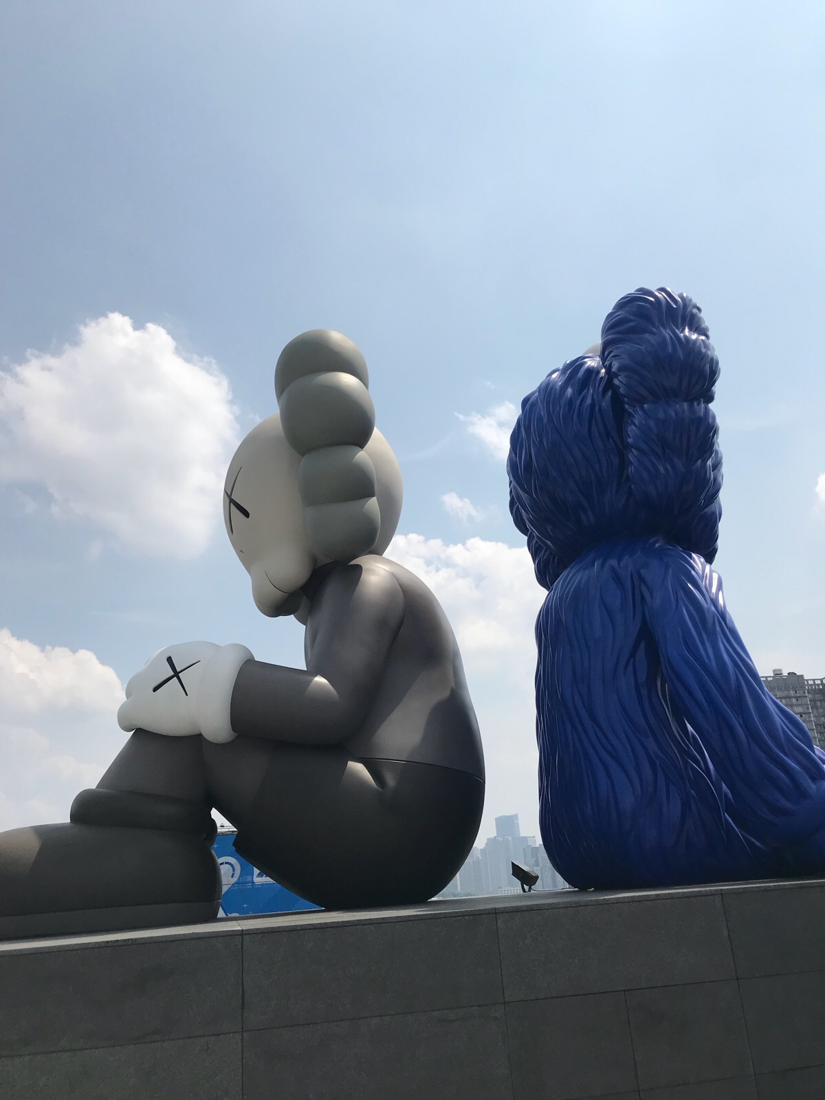 长沙ifs kaws