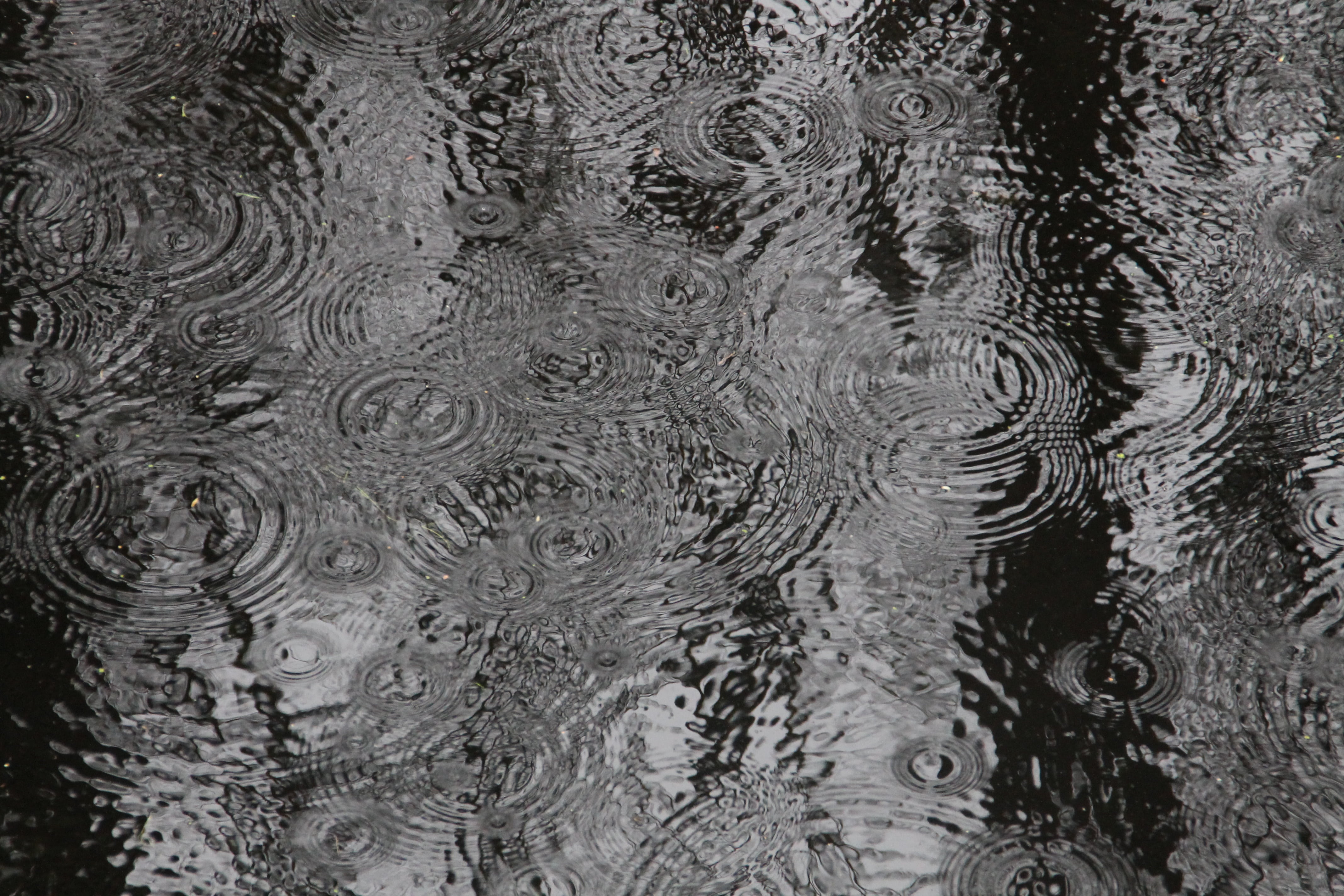 雨水,雨天,海景,水花