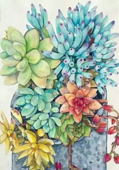 水彩 彩铅 创意画 植物 花卉 写生 鹿 星空 多肉