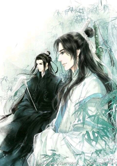 魔道祖师#双道长#晓星尘#宋岚#白衣古风男#黑衣古风男#眼盲 古风 男