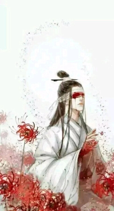 魔道祖师#双道长#晓星尘#宋岚#白衣古风男#黑衣古风男#眼盲 古风 男