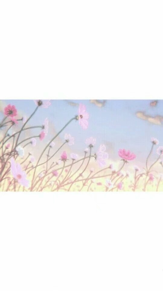 动漫背景图,唯美,梦幻,花草