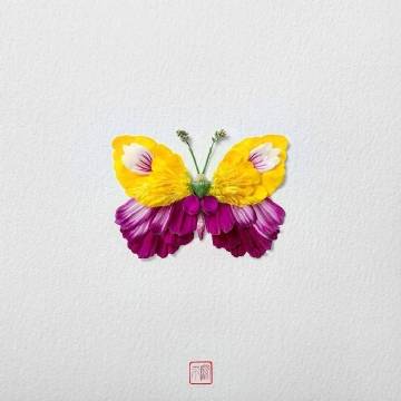 艺术家raku inoue用花瓣重构的蝴蝶,栩栩如生.