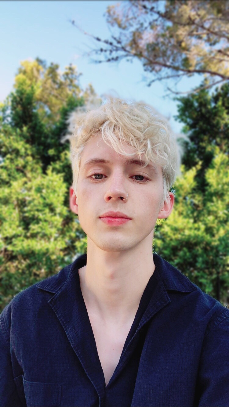 戳爷troye sivan troye 壁纸