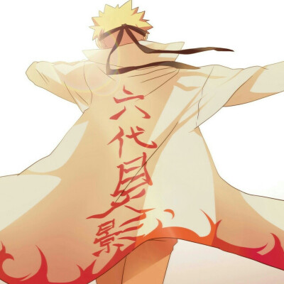 火影疾风
漩涡鸣人