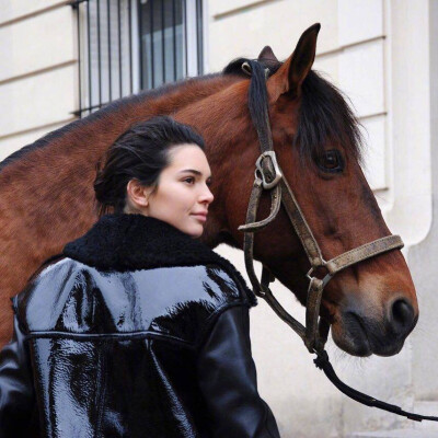 kendall