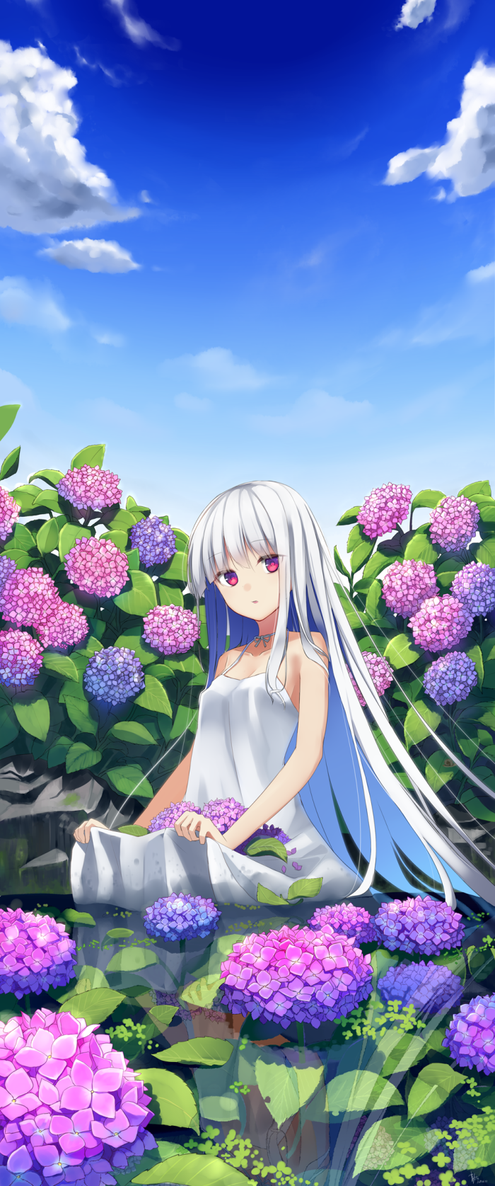 睛天紫阳花绘师 まかだみぁ Pixiv Id 2782928 本作品pixiv Id 睛天紫阳花绘师 まかだみぁ Pixiv Id 2782928 本作品pixiv Id