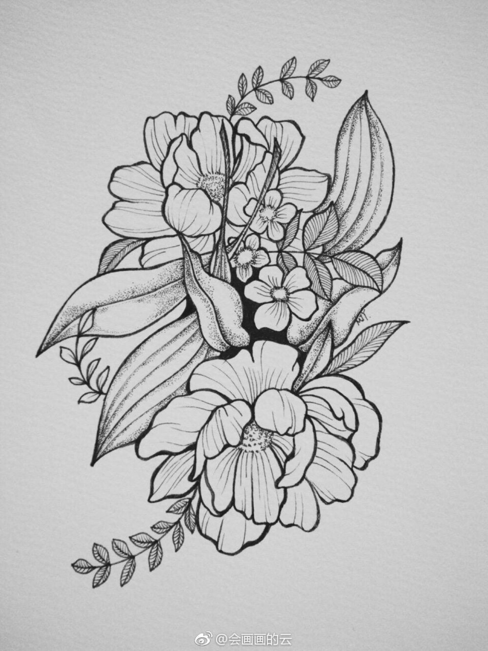 黑白线描 花卉