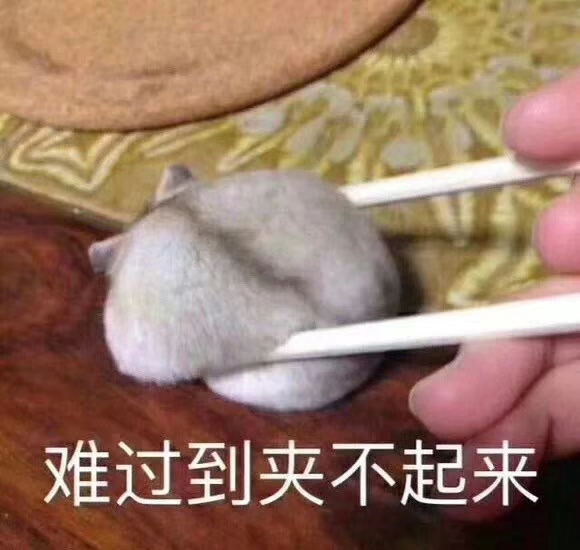 [泠秋秋收]表情包治百病