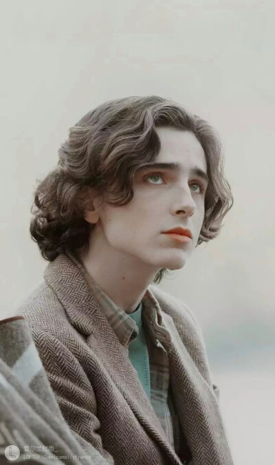 点赞  评论  蒂莫西·柴勒梅德timothée chalamet,甜茶,头像,壁纸