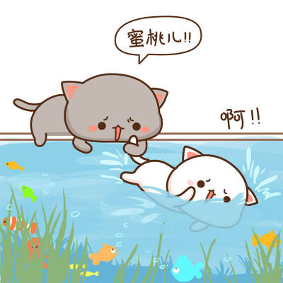 蜜桃猫