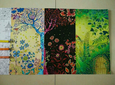 秘密花园涂色