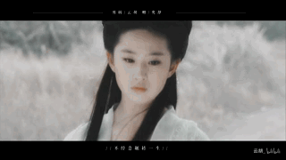 肖战刘亦菲