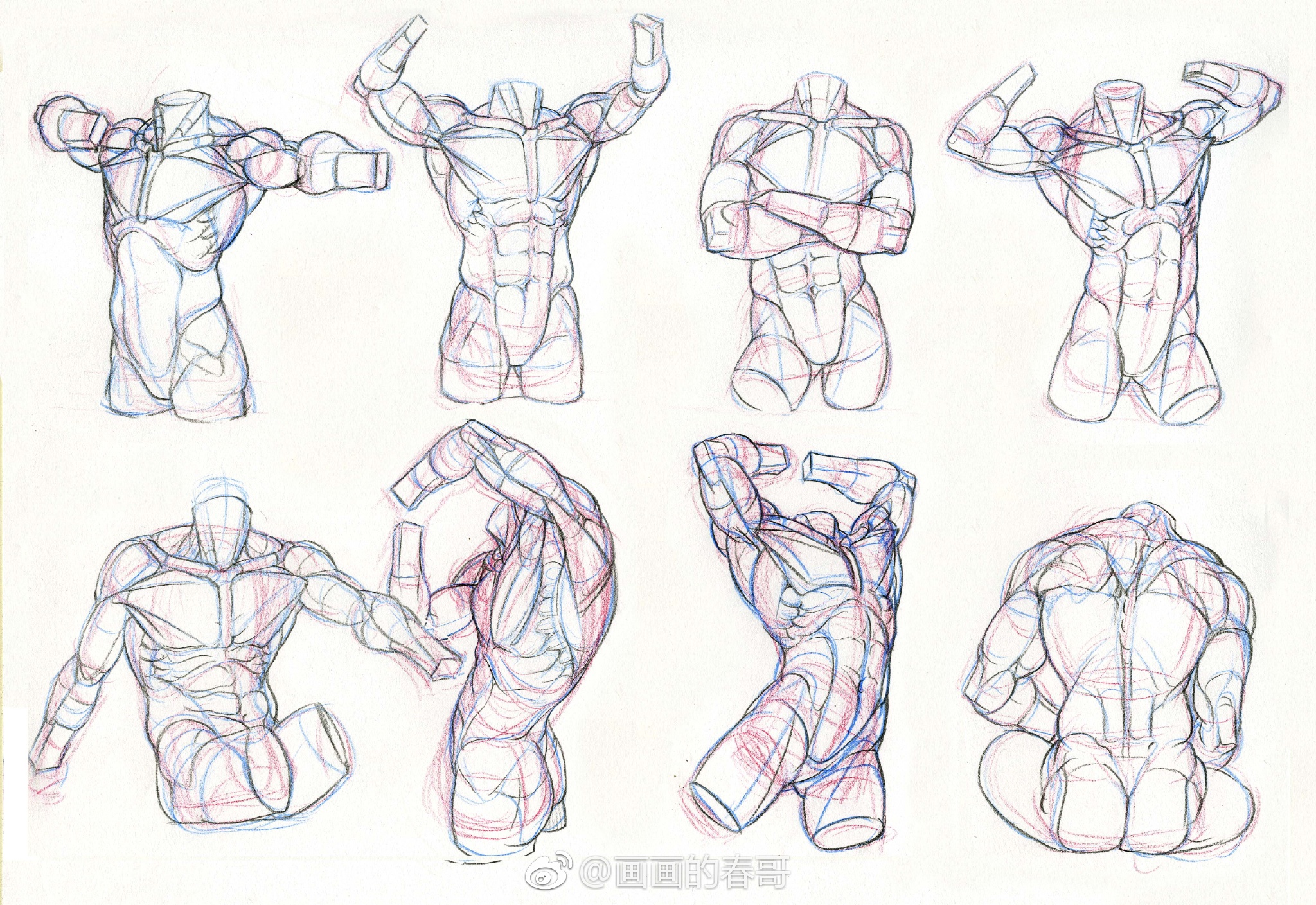 肌肉男卡通人物基本结构画法 - 哔哩哔哩