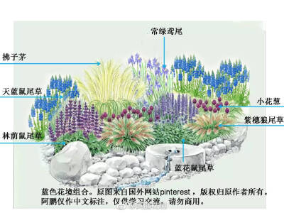 花境种植示例