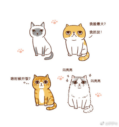 来画几只猫吧～#罗罗布简笔画#加菲猫,暹罗猫,中华田园猫,布偶猫