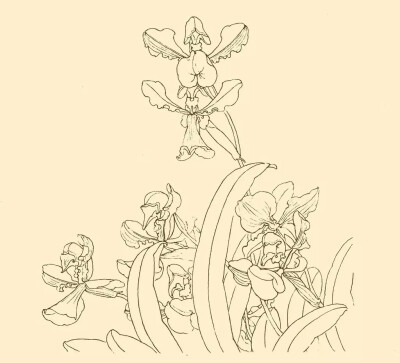 白描素材