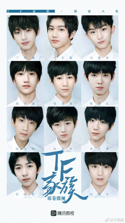 tf家族