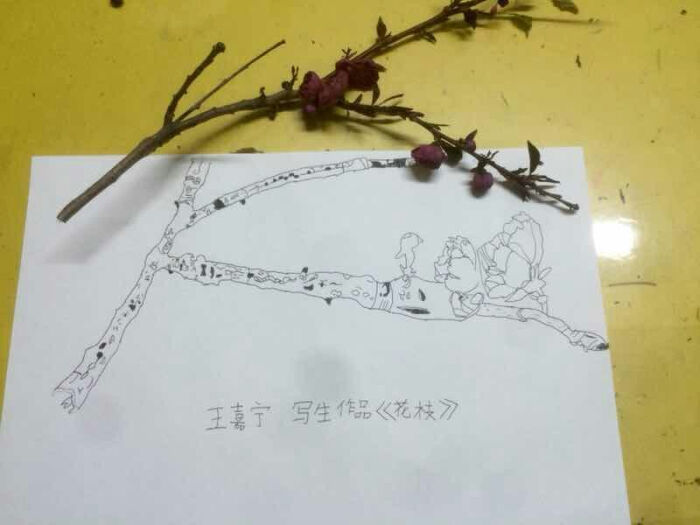 儿童画 写生 速写 线描 静物 蔬菜 水果 花卉 人物 水粉 油画棒 重彩