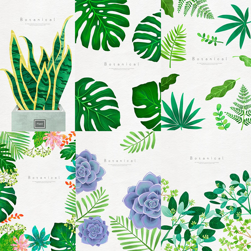 水彩高清绿色热带植物盆栽仙人掌装饰画芯psd分层设计模板psd157