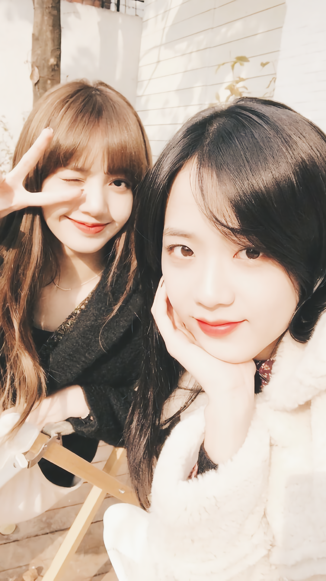 lisa 