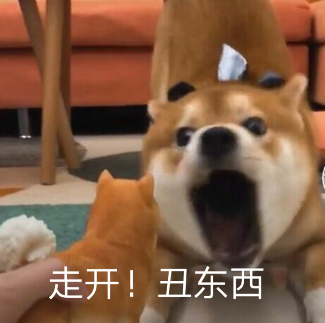 柴犬 表情包