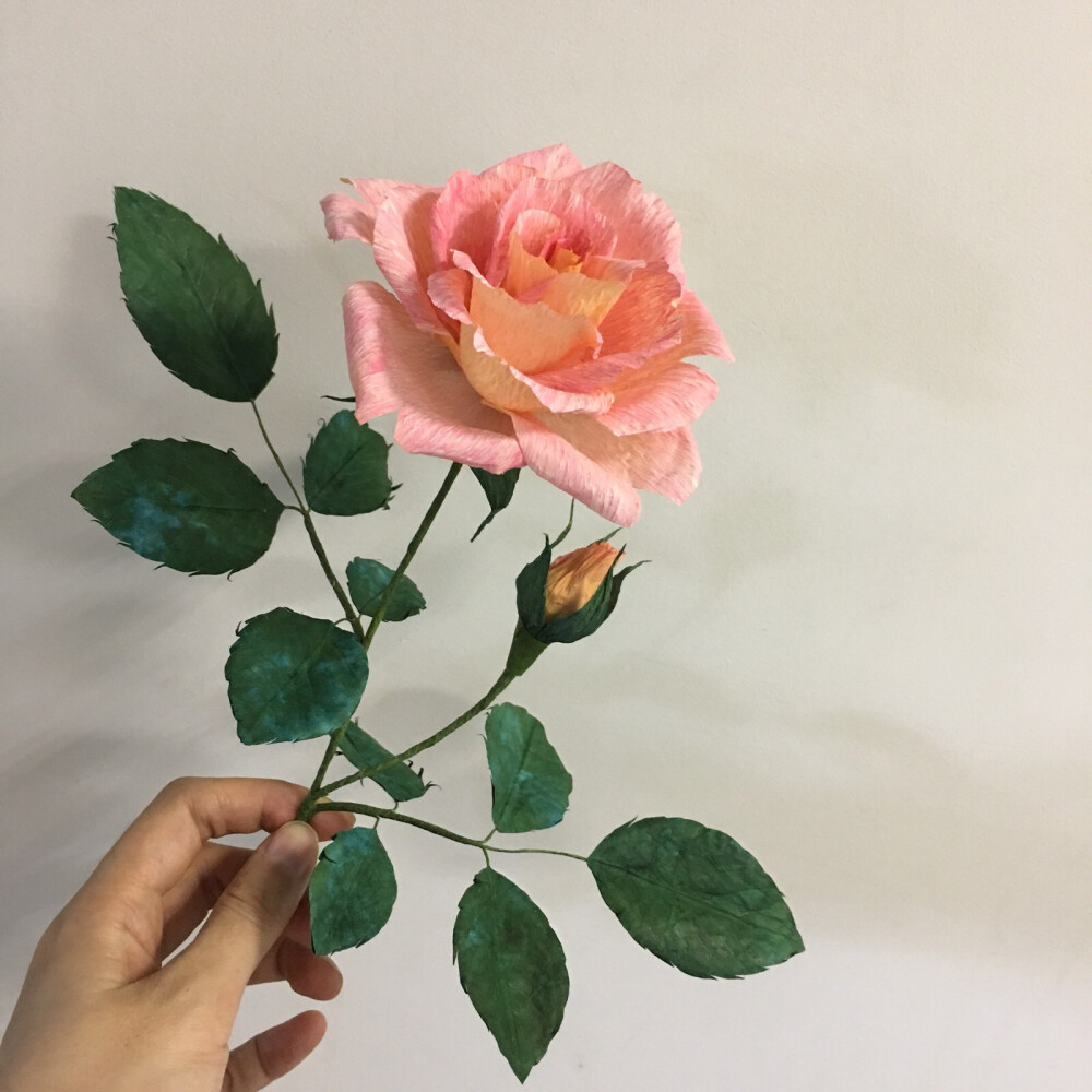 皱纹纸玫瑰1