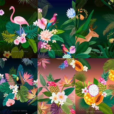 夏天热带植物火烈鸟插画家居装饰图案t恤印花psd设计素材psd167