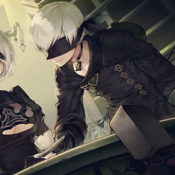 尼尔9s