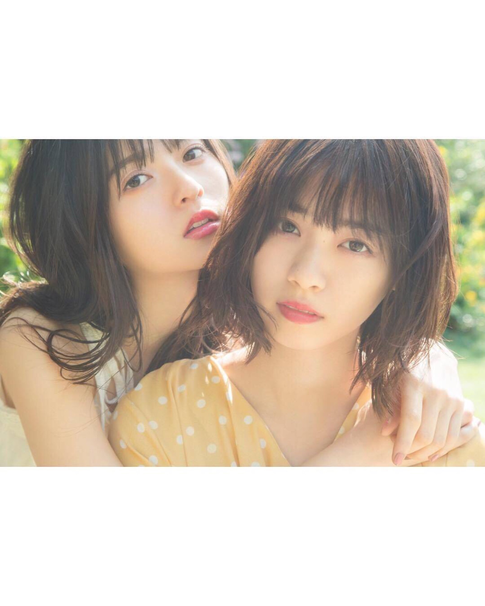 乃木板46 Nogizaka46 - 透明色(2CD+DVD寫真初回盤)(宣傳片 全新未使用) | Yahoo奇摩拍賣