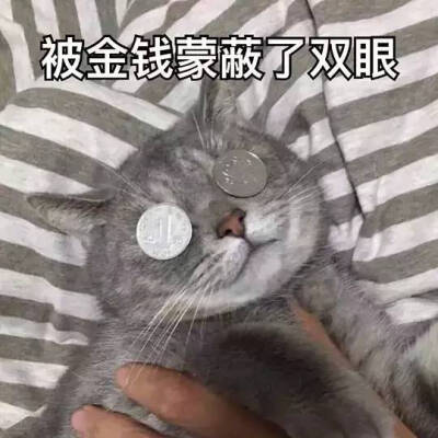 被金钱蒙蔽了双眼