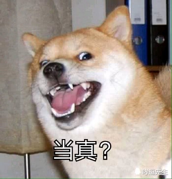 可爱表情包,小动物