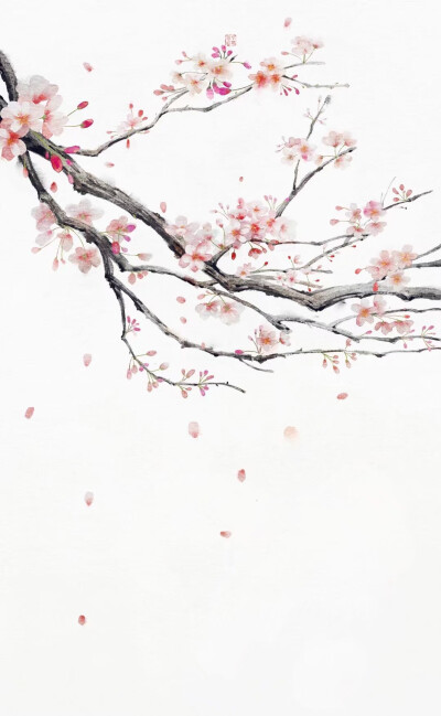 动漫背景图 古风 树枝 粉花