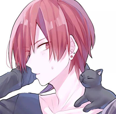 二次元情头猫系