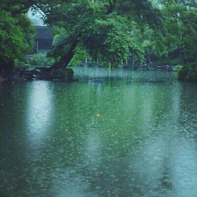 远山依枕见,暮雨闭门愁.