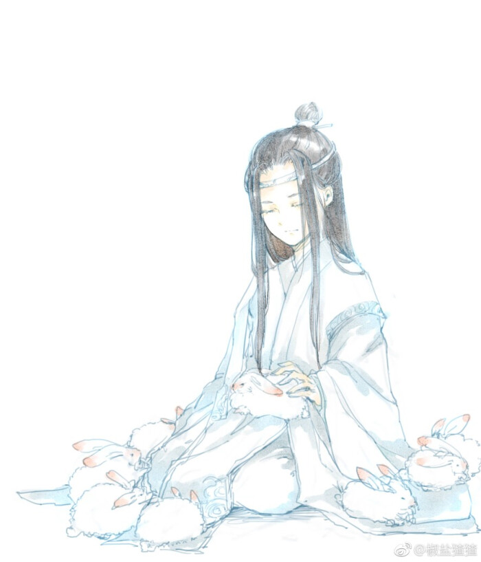 魔道祖师,蓝忘机,蓝湛