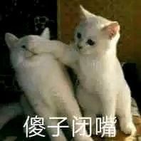 沙雕表情包