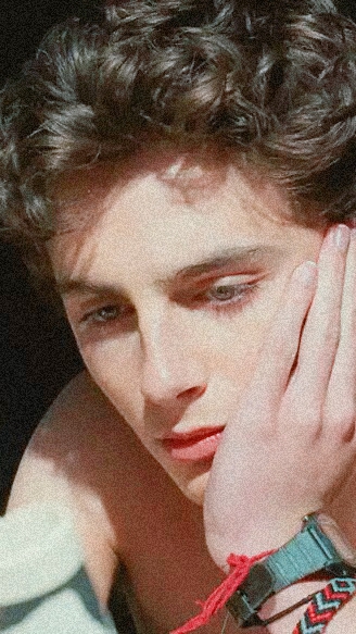 蒂莫西·柴勒梅德timothéechalamet(请以你的名字呼唤我)蒂莫西·柴