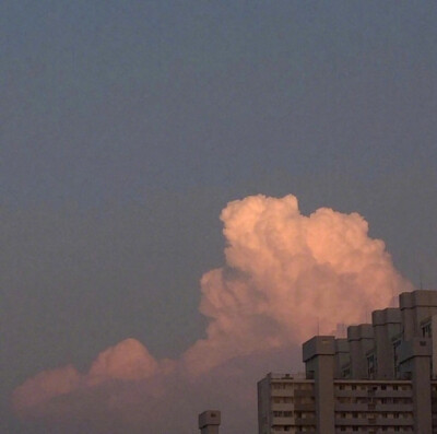 qq背景图 背景图 图源:微博 by暖枳