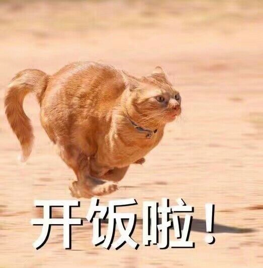 逗